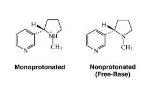 Difference between Free Base Nicotine and Nicotine Salt