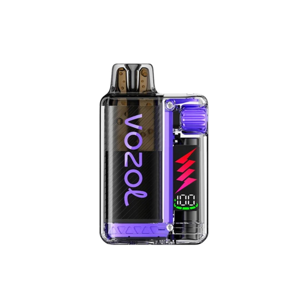 Vozol - Vista Plug 10k Prefilled Pod Vape Kit 10000 Puffs 20mg