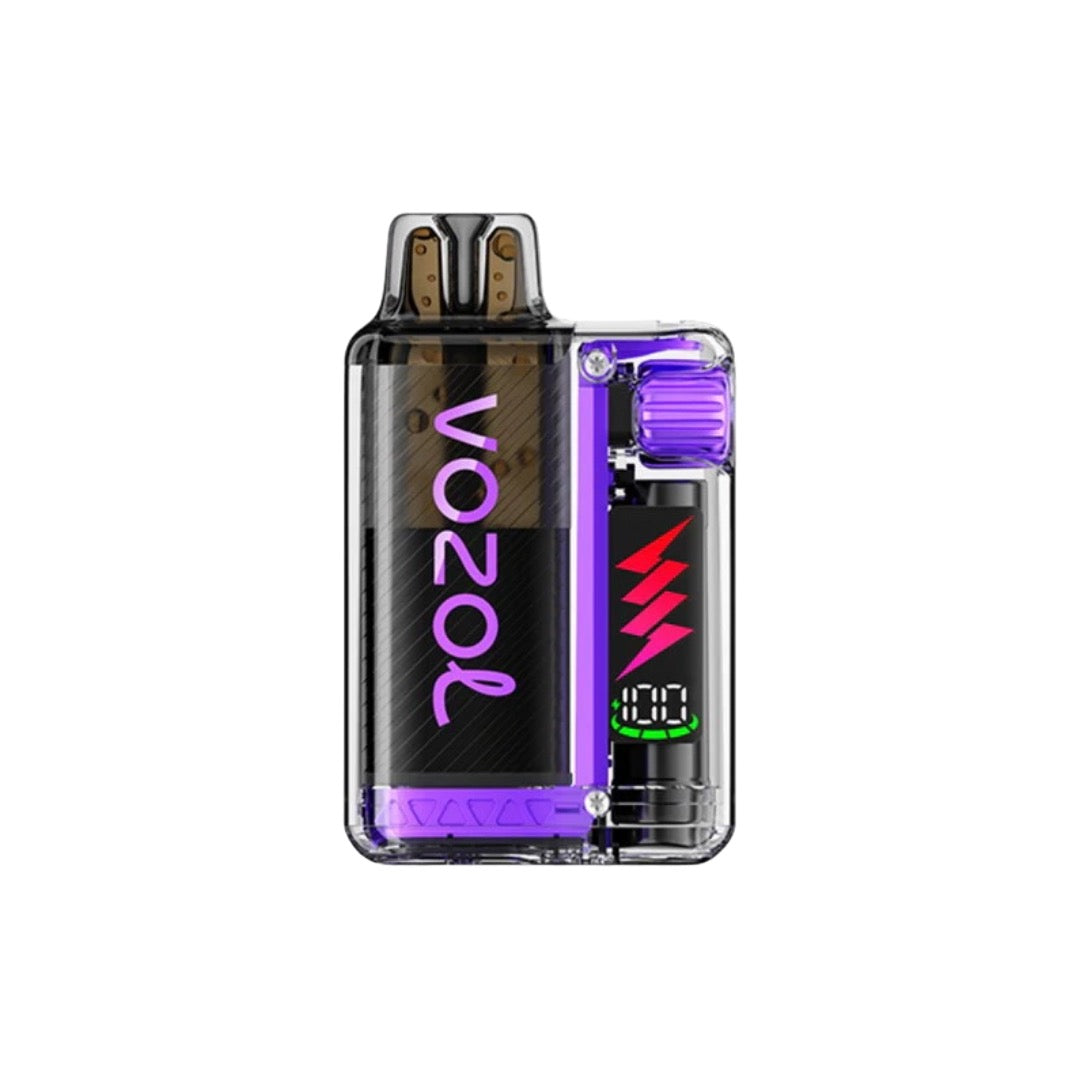 Vozol - Vista Plug 10k Prefilled Pod Vape Kit 10000 Puffs 20mg