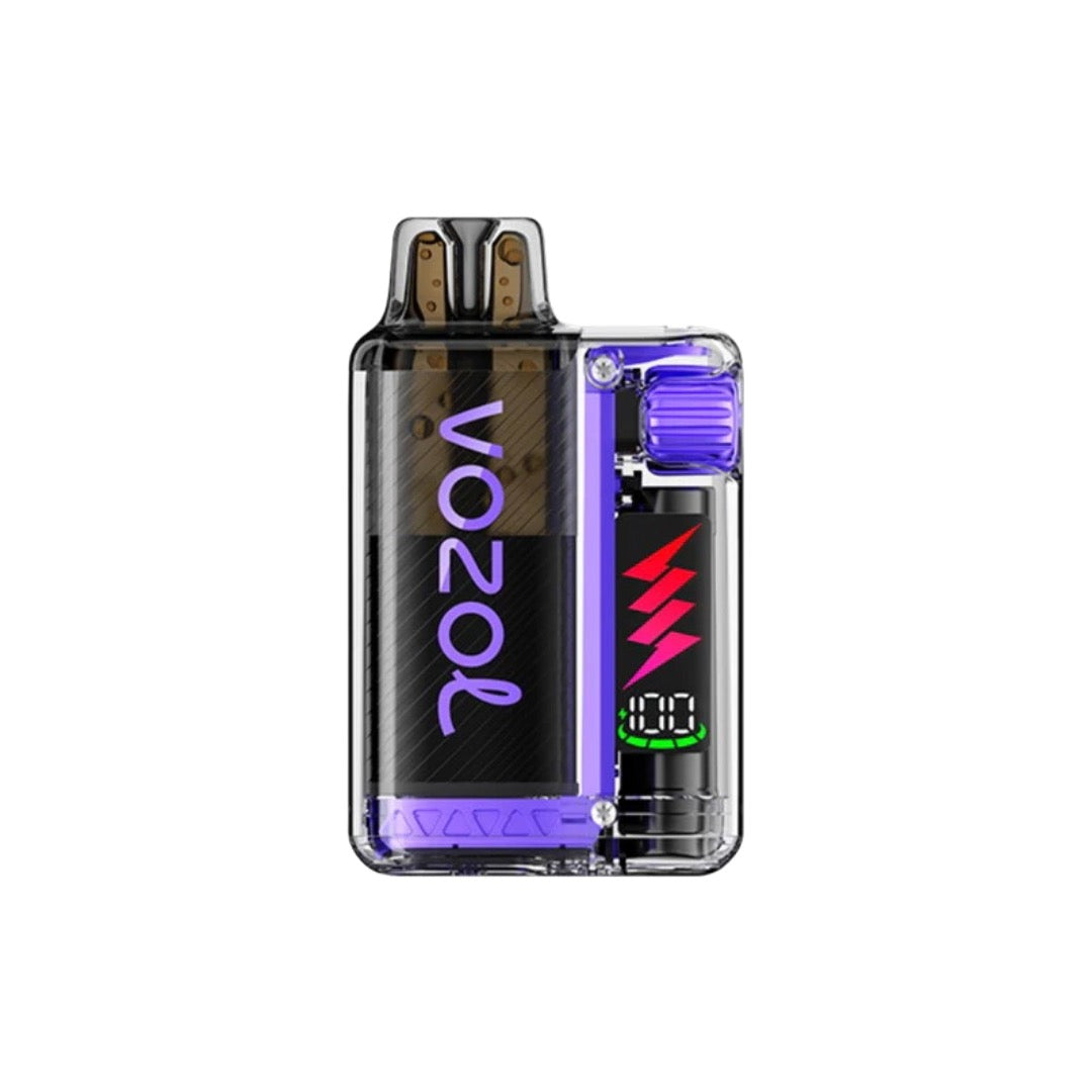 Vozol - Vista Plug 10k Prefilled Pod Vape Kit 10000 Puffs 20mg