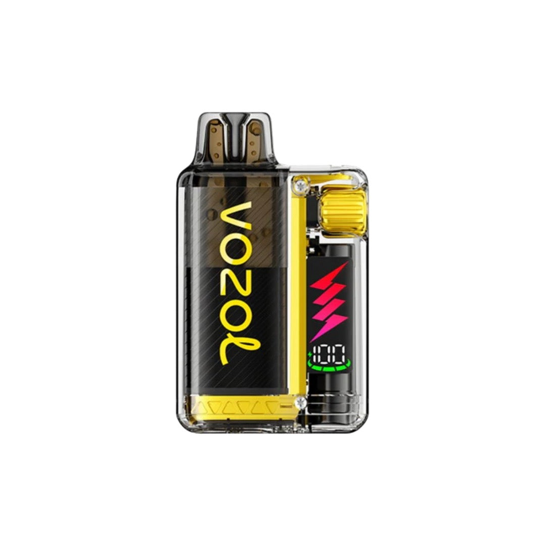 Vozol - Vista Plug 10k Prefilled Pod Vape Kit 10000 Puffs 20mg