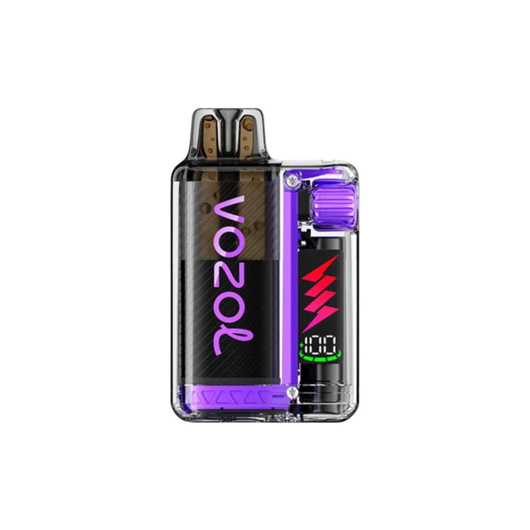 Vozol - Vista Plug 10k Prefilled Pod Vape Kit 10000 Puffs 20mg